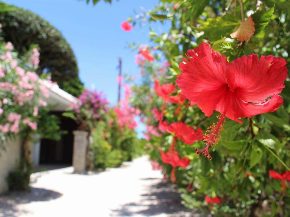 The Avance Hotel Ishigakijima - Vacation Stay 85735V Ishigaki  Kültér fotó